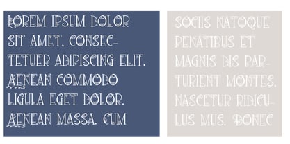 PN Loquacious Font Poster 5