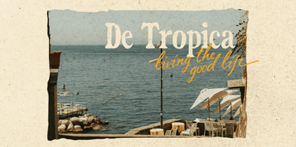 Vintage Market Font Poster 6
