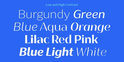 Bankins Variable Font Poster 7