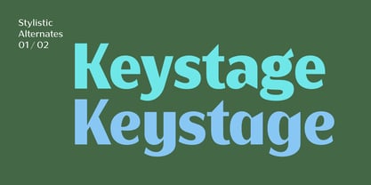 Bankins Variable Font Poster 5