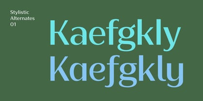 Bankins Variable Font Poster 6