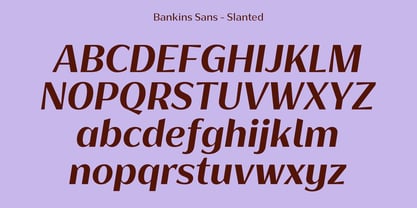 Bankins Variable Font Poster 14