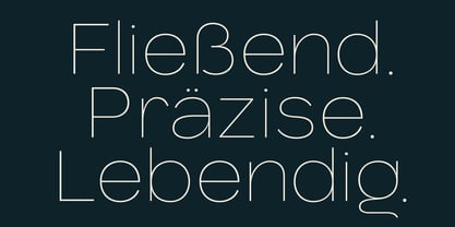 Rubika Font Poster 14