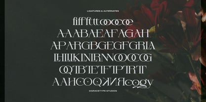 Orcars Font Poster 12