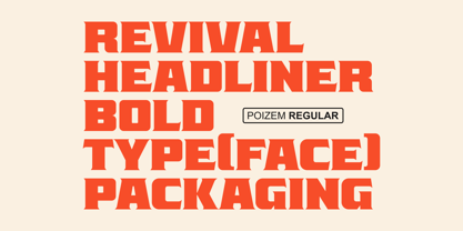 Poizem Font Poster 7