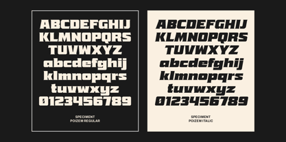 Poizem Font Poster 6