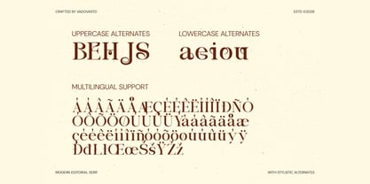 Borello Font Poster 5