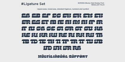 Exmora Font Poster 11