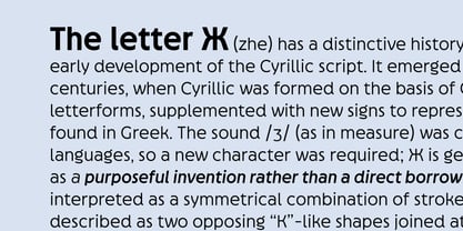 Neopol Sans Font Poster 8