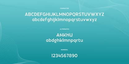 Hidophin Font Poster 10