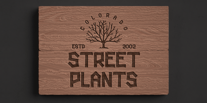 Carved Lines Font Poster 2
