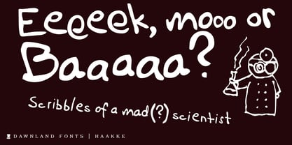 Haakke Font Poster 1