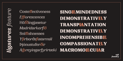 TA Typefire Font Poster 5