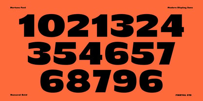 Mertune Font Poster 11