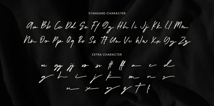 Enterogen Font Poster 13