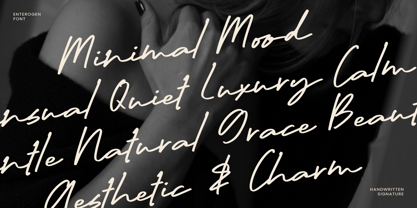 Enterogen Font Poster 8