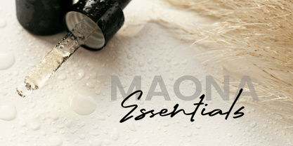 Enterogen Font Poster 2