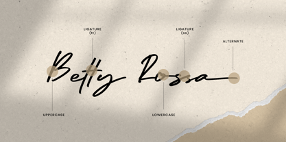 Enterogen Font Poster 12