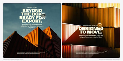 Swinston Sans Font Poster 7