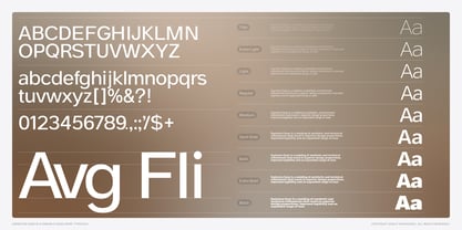 Swinston Sans Font Poster 3