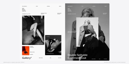 Swinston Sans Font Poster 12