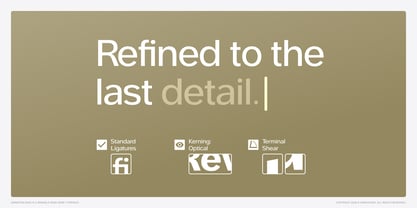 Swinston Sans Font Poster 4
