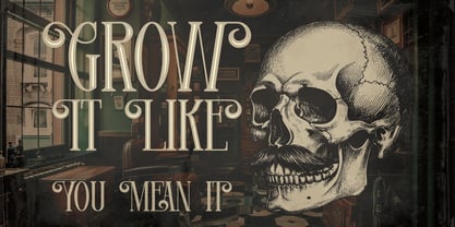 Mustacher Font Poster 6
