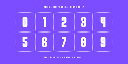 Trina Font Poster 14