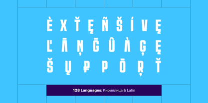 Trina Font Poster 3
