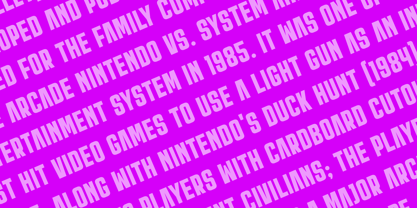 Trina Font Poster 5