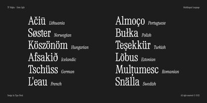TF Mighu Slab Variable Font Poster 11