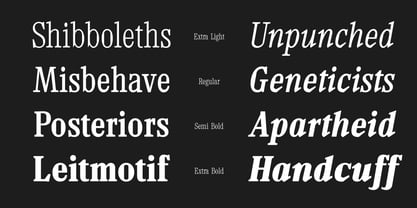 TF Mighu Slab Variable Font Poster 5