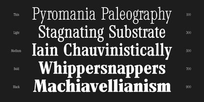 TF Mighu Slab Variable Font Poster 4