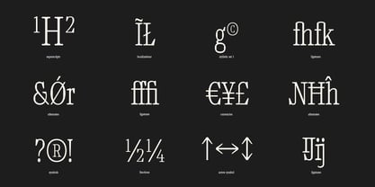 TF Mighu Slab Variable Font Poster 7