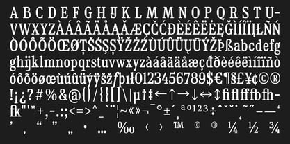 TF Mighu Slab Variable Font Poster 12