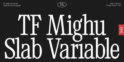 TF Mighu Slab Variable Font Poster 1