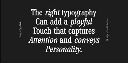 TF Mighu Slab Variable Font Poster 13
