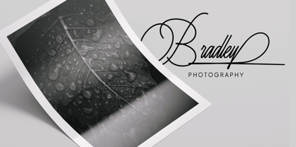 Risemotion Signature Font Poster 8