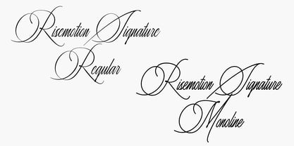 Risemotion Signature Font Poster 10