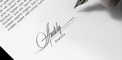 Risemotion Signature Font Poster 5