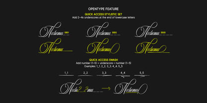 Risemotion Signature Font Poster 9