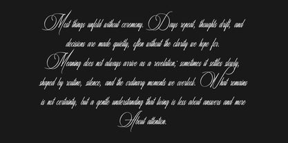 Risemotion Signature Font Poster 11