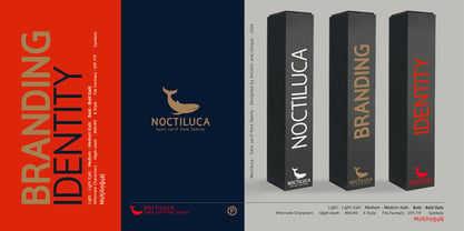 Noctiluca Font Poster 6