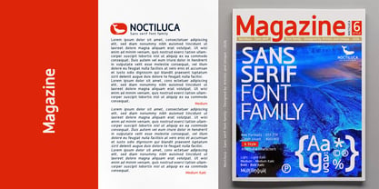 Noctiluca Font Poster 13