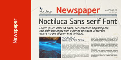 Noctiluca Font Poster 12