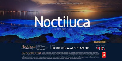 Noctiluca Font Poster 10