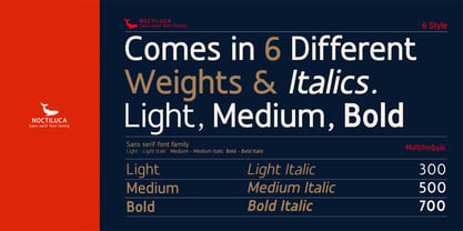 Noctiluca Font Poster 3