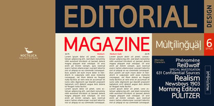 Noctiluca Font Poster 11