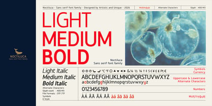 Noctiluca Font Poster 2