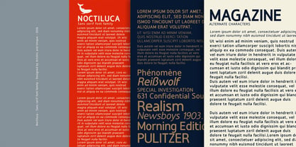 Noctiluca Font Poster 15